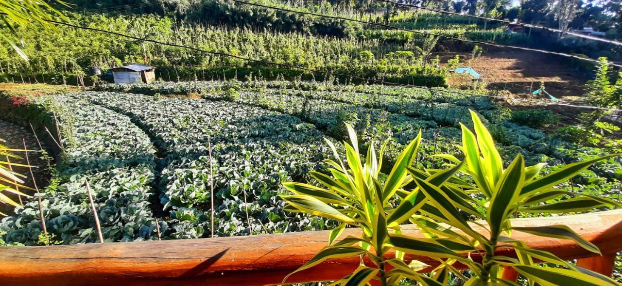 Serenity Homestay Ella Exterior foto