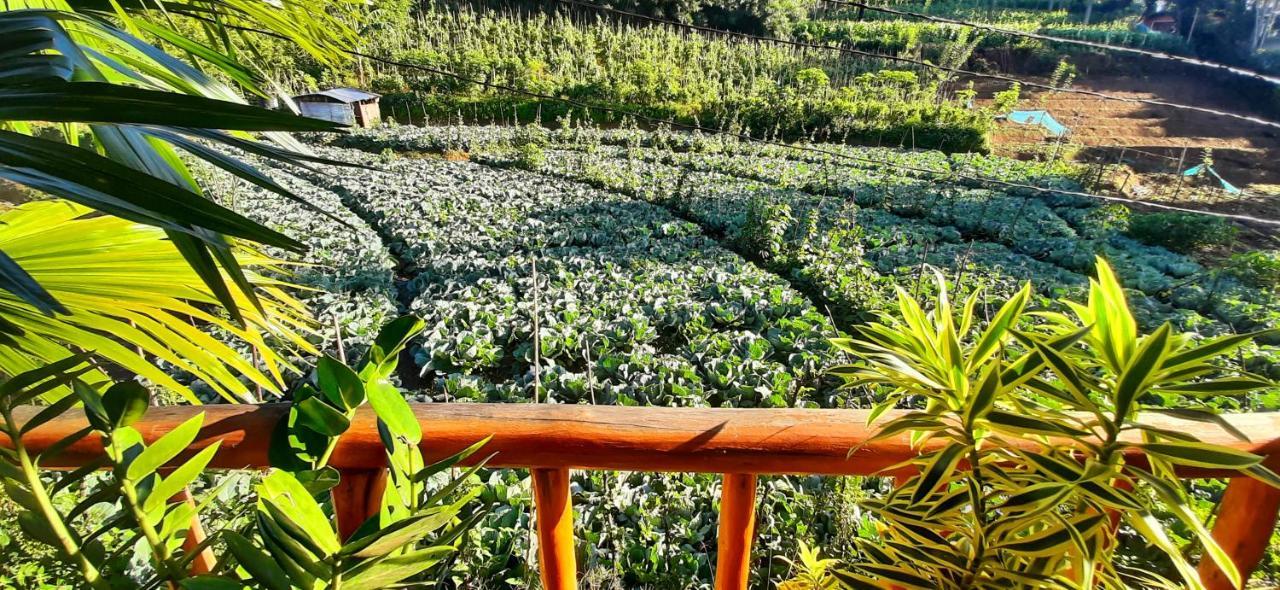 Serenity Homestay Ella Exterior foto